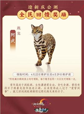 天龙八部私服qk